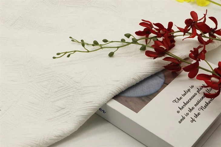 Double Side Knitting Jacquard Fabric