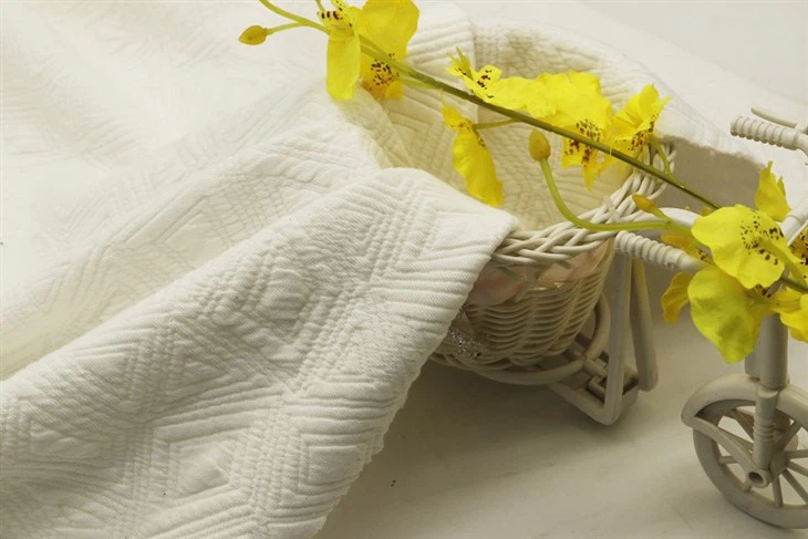 Double Side Knitting Jacquard Fabric